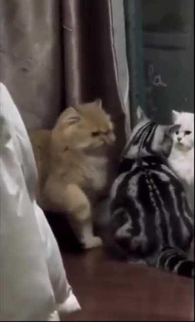 What Was The Message?