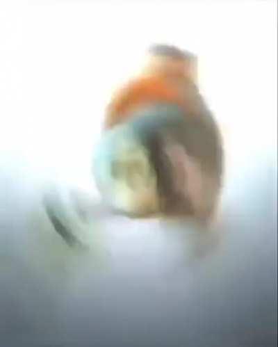 Birds at 5AM Sigma grindset edit