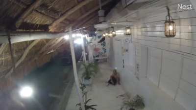 Drunk guy drops phone, falls and hits head in Mexico then gets stopped by police.