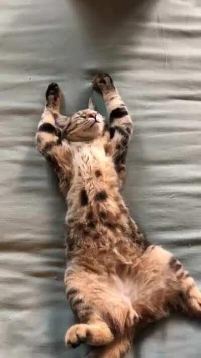 Crazy hazey, sleeping his best sleep