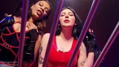 You will look better with our spit on your face.