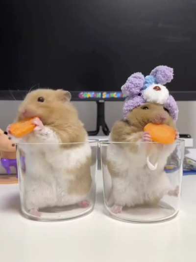 They will be shaken, not stirred