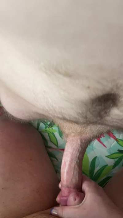 Big Dick Daddy Frotting with Sissy Slut