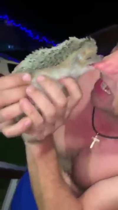 Wcgw?? Ok.. lemme put this aside !!