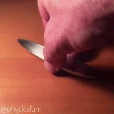 Stainless Steel Rattleback - Can Only Be Spun Counter Clockwise!