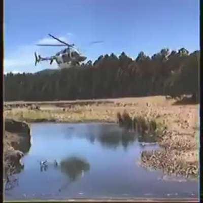 The Mexican Cartels part 1