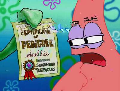 Colorless, no sound episode from VideoNow