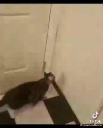 I love their relationship xDDDD