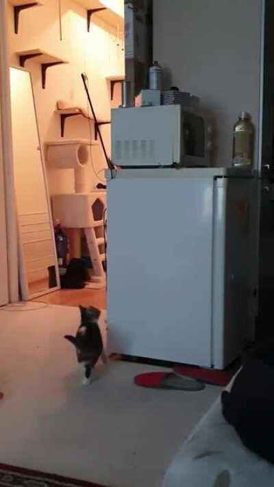 Mom, the thing is stuck again!