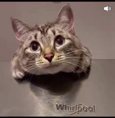 Немного милоты