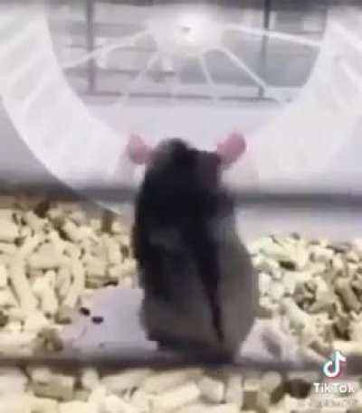 To exercise with the kids