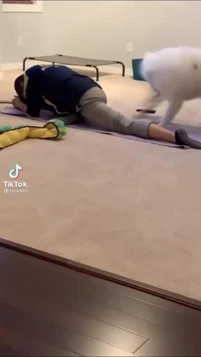 Can‘t stop watching this