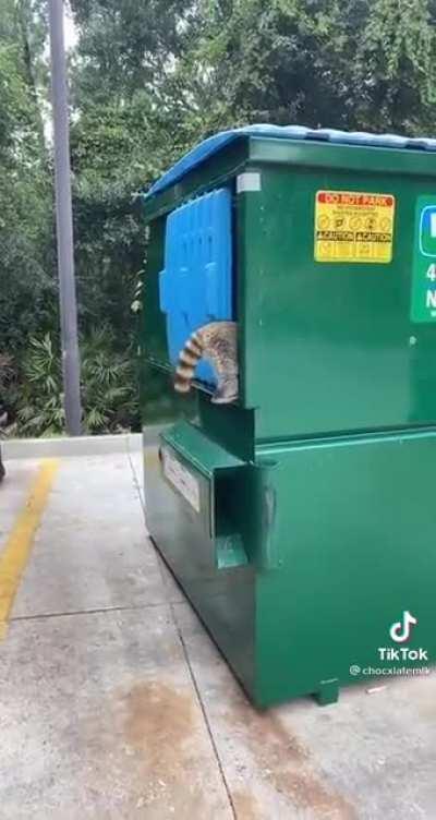 They’re just so cute. I really really wanna hug one!