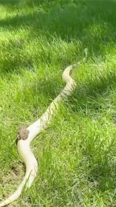 Ran out of gas and had to be toad.