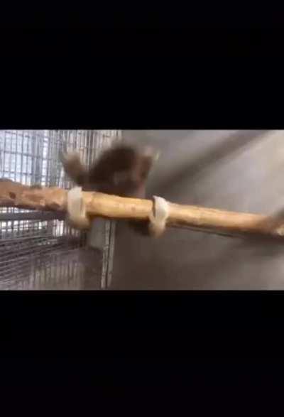 EL NUMERO 8 TE DEJARA CON LA BOCA ABIABIERTA 😱