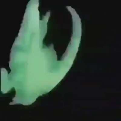 Do I need to say anything