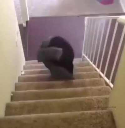 Idk if someone already did this