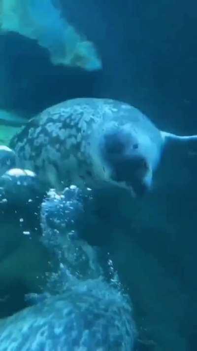 Not in the mood to talk to anyone