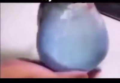 The girls in Amazon lily when they found Luffy