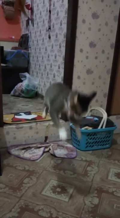 Just practicing his spinning kick