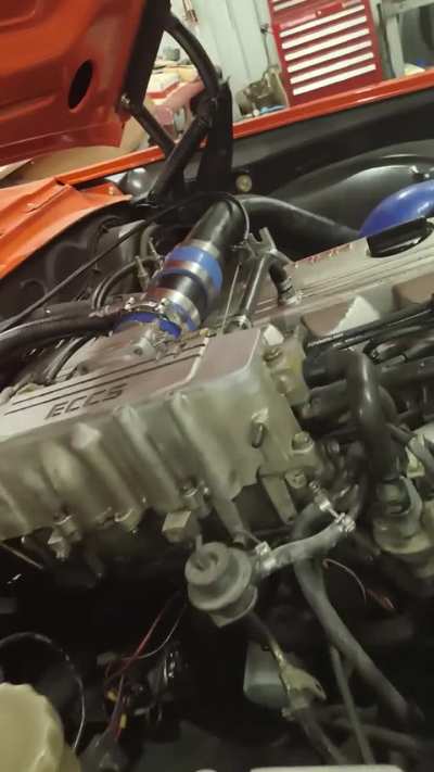 Help! I think i fucked up