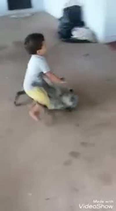 Doggy ain't fucking around