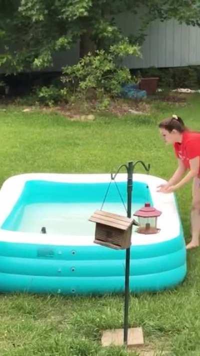 Attempted squirrel rescue (wait for it)