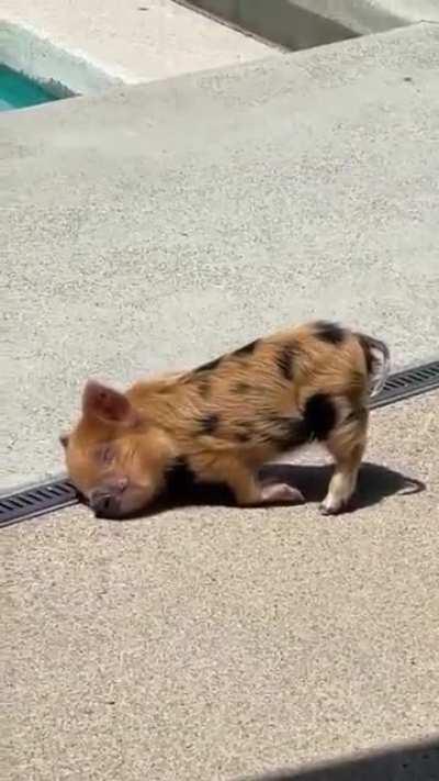 When you're sleepy, you're sleepy