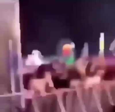 aquela música da vaca só que acelerada