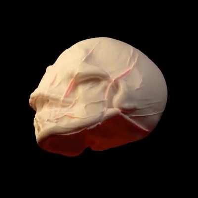 Cloth sim I made in 2.82