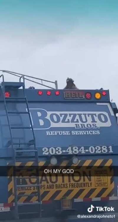 No thoughts, just vibes