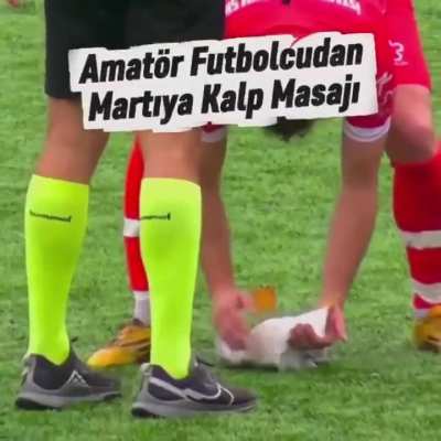 Absolutely demented footballers wake a sleeping bird just to use it as a prop for a trick shot 😞