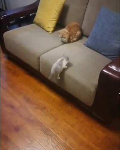 Oh, There You Are Mommy