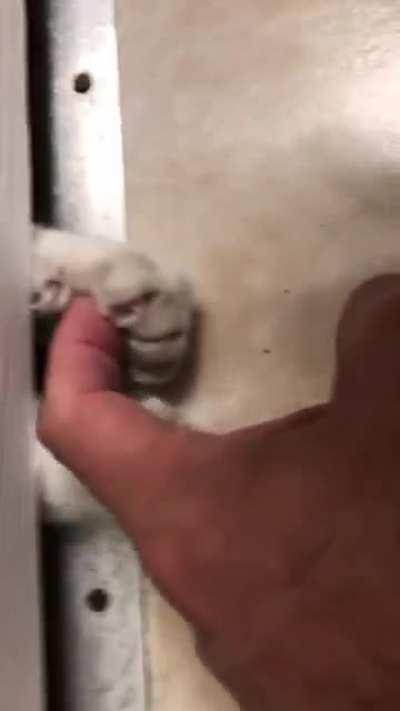 My dad sent me this today, I think he’s getting through quarantine alright.