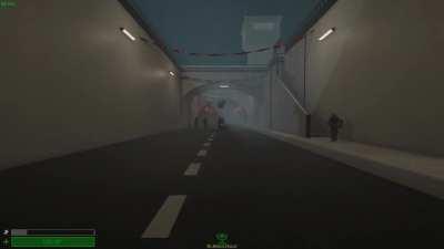 The capybara ascended