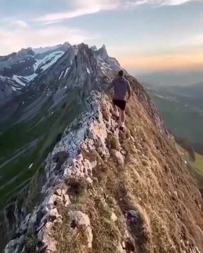 Жёлтый или зелёный?