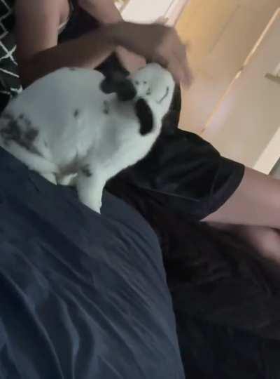 Is he trying to play? 