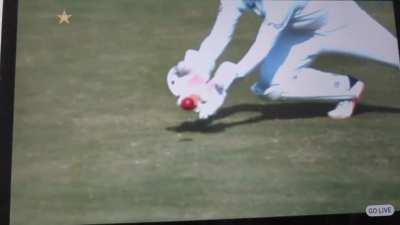 Was this Out or not?