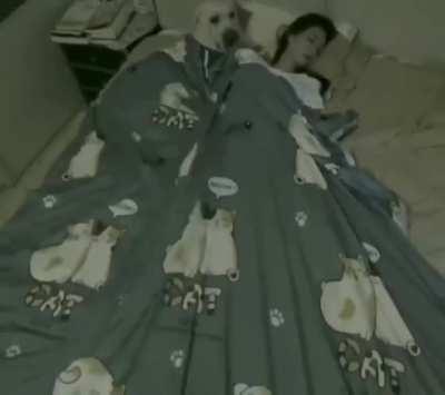 They are the best...