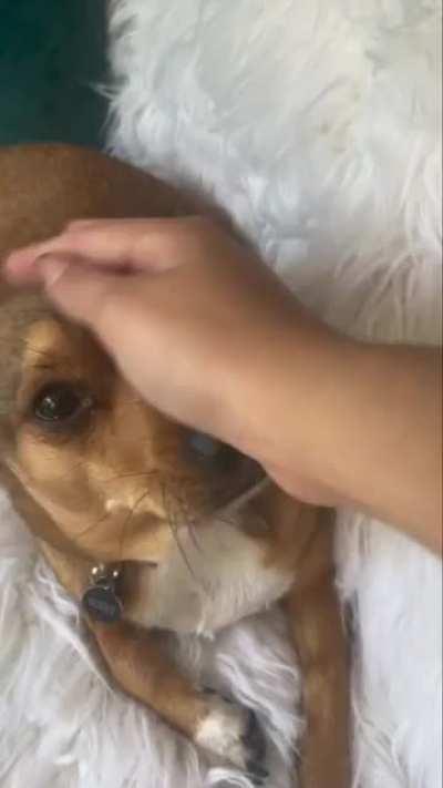 Super Cute in New Reel