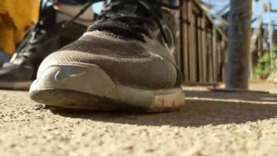 Worms squished under sneakers