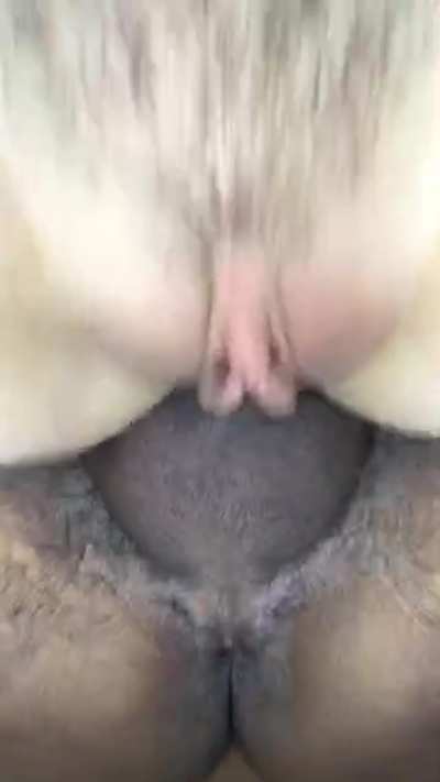 Close up of white pussy getting pounded