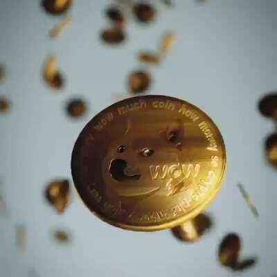 Elon musk is the real owner of dogecoin, here’s the proof lol