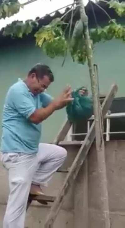 Not the best way to remove a wasp's nest