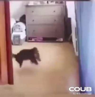 A smooth criminal aye!