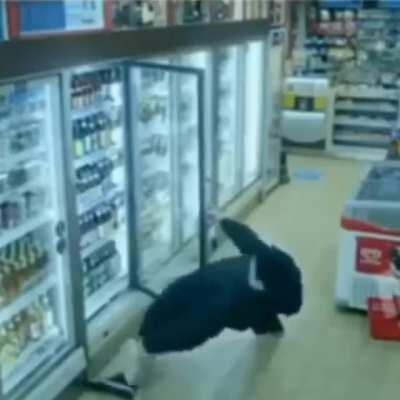 WCGR being drunk AF and not face-planting while buying more beer