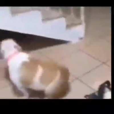 gradntma 👵👵👵👵👍👍