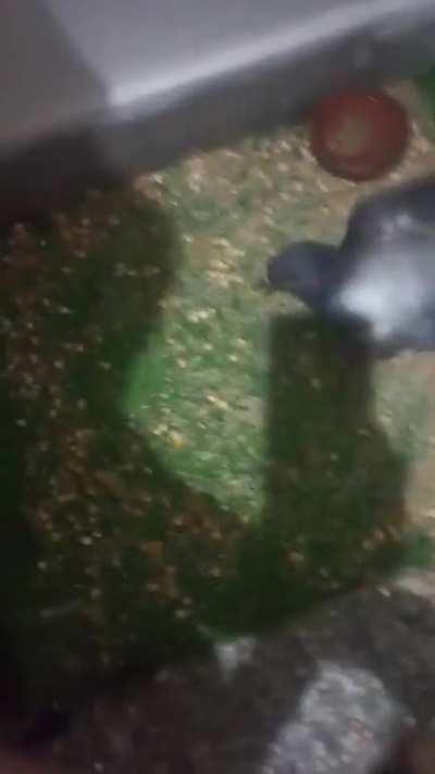 atheist ka choda lag rha hai😞👍