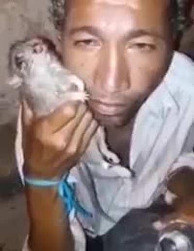 Ratatouille, is that you?