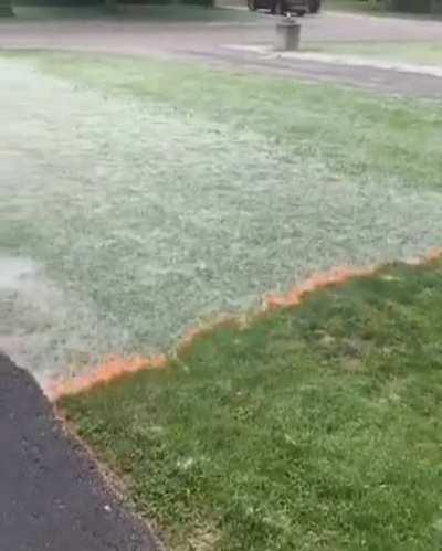 Cottonwood seeds are very flammable